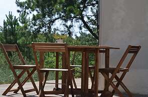 La Villa dans les Pins