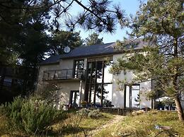 La Villa dans les Pins