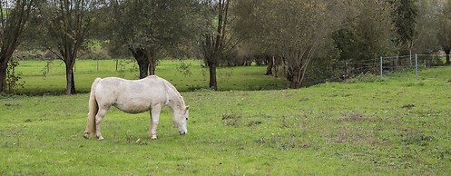 Ferme Chateau Laneffe