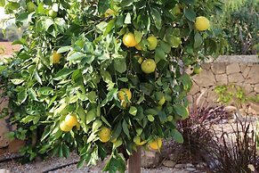 Villa Caterina by Amy Villas