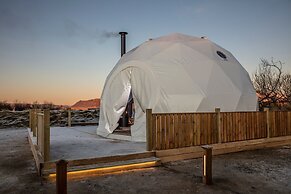 Reykjavik Domes