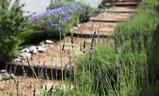 Home with an Ocean view