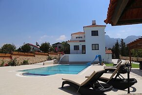 Villa Pergola by Amy Villas