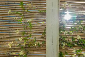 TD Casette Pricci – Casetta Rosmarino