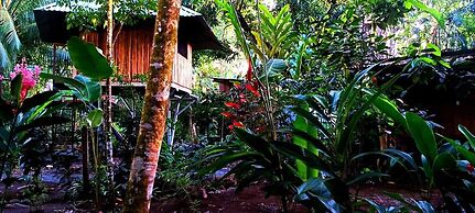 Flutterby House - Hostel
