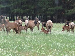 Edenwood Ranch Private SQ MILE