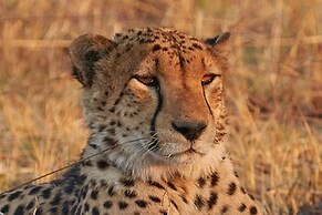 Nahubwe Safari Lodge