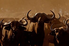 Nahubwe Safari Lodge