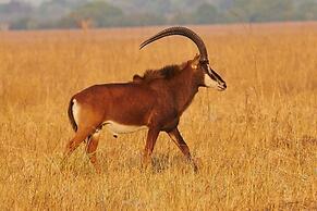 Nahubwe Safari Lodge