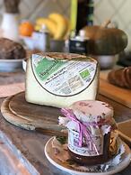 B&B Le Cannelle Fiesole