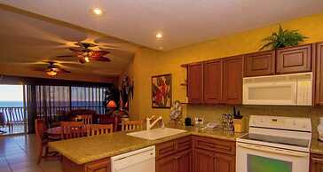Sonoran Sun by Casago