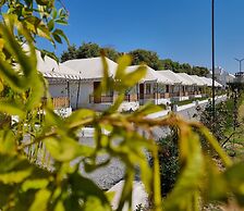 The Glorious Hills Resort Pushkar