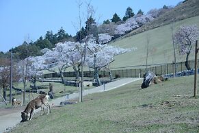 Mountain Home Lodge in Deer Park