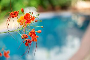 La Cour Hotel Apartments