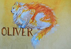 Ars Naturae Biologic Farm