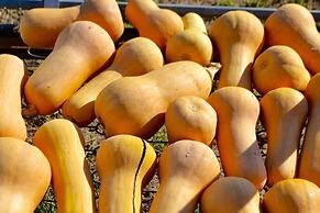 Ars Naturae Biologic Farm