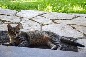 Ars Naturae Biologic Farm