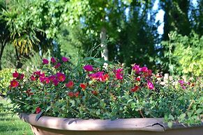 Ars Naturae Biologic Farm