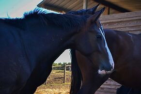 Ars Naturae Biologic Farm