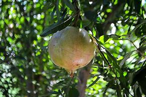 Ars Naturae Biologic Farm