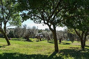 Ars Naturae Biologic Farm