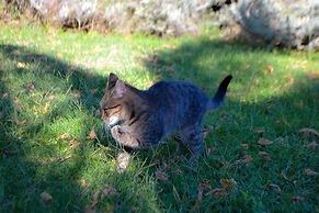 Ars Naturae Biologic Farm