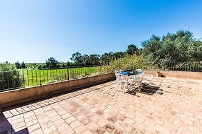Finca Agroturismo Sa Cova den Borino