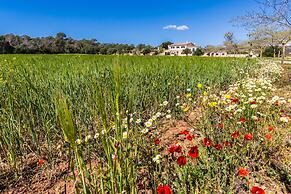 Finca Agroturismo Sa Cova den Borino