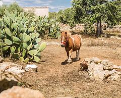 Finca Agroturismo Sa Cova den Borino