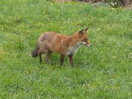 The Larches Ledbury Bed and Breakfast