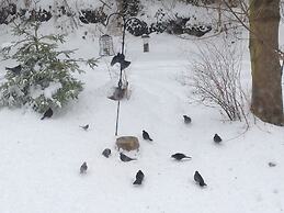 The Larches Ledbury Bed and Breakfast