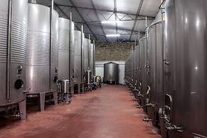 Casa Lata - Wine & Tourism