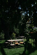 Casa Lata - Wine & Tourism