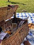 Casa Lata - Wine & Tourism