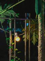 Tam Coc Sunrise Homestay