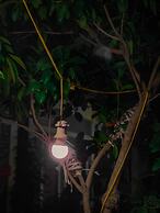 Tam Coc Sunrise Homestay