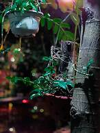 Tam Coc Sunrise Homestay