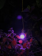 Tam Coc Sunrise Homestay