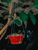 Tam Coc Sunrise Homestay