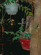 Tam Coc Sunrise Homestay