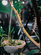 Tam Coc Sunrise Homestay