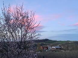 Tenuta di Cascina Diavolo dei Boschi
