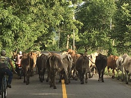 Finca Ometepe