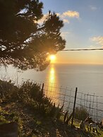 Vicolocorto Affittacamere