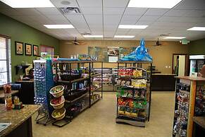 Paradise Palms 8963 D