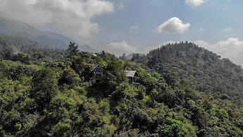 Treehouse Chalets