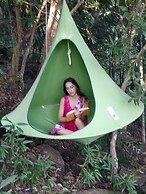 Treehouse Chalets