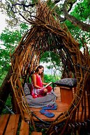 Treehouse Chalets