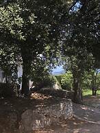 Holiday Home Sea View