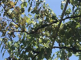 Holiday Home Sea View